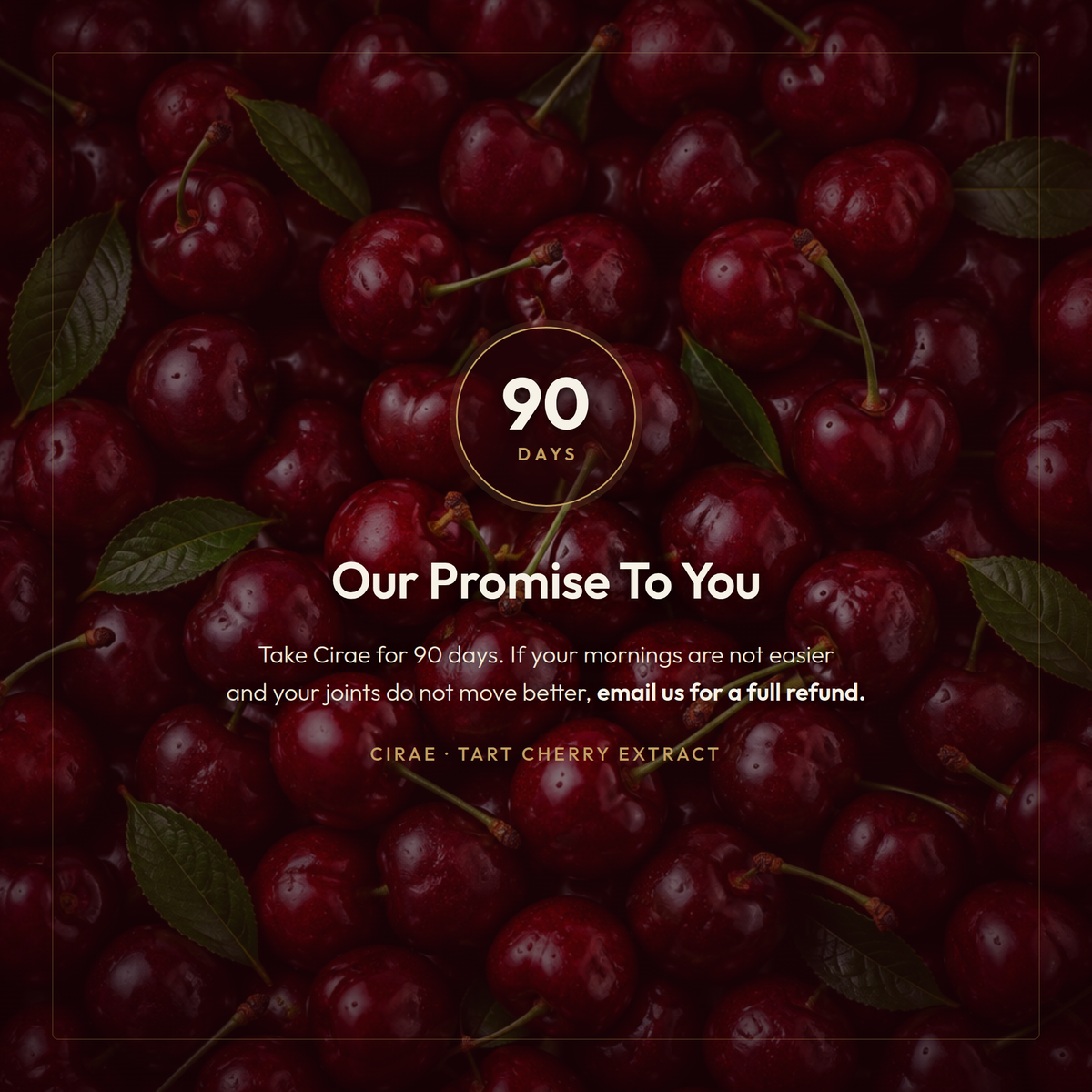 Cirae 90 day money back guarantee on tart cherry extract